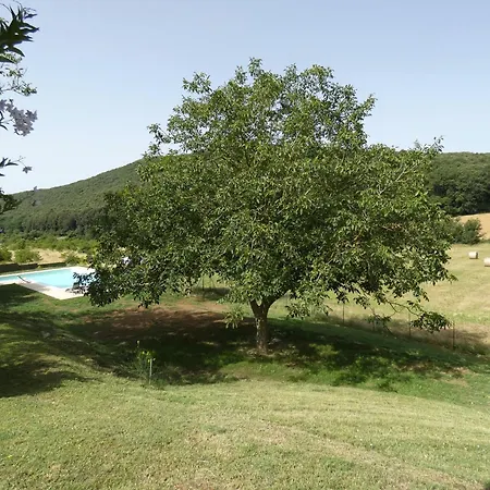 Scappo In Umbria,casale Vallenera Villa *