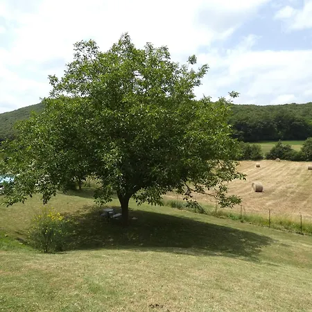 Villa Scappo In Umbria,casale Vallenera *